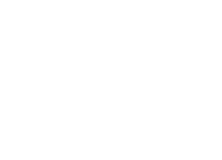 Nikola Tsolov Store